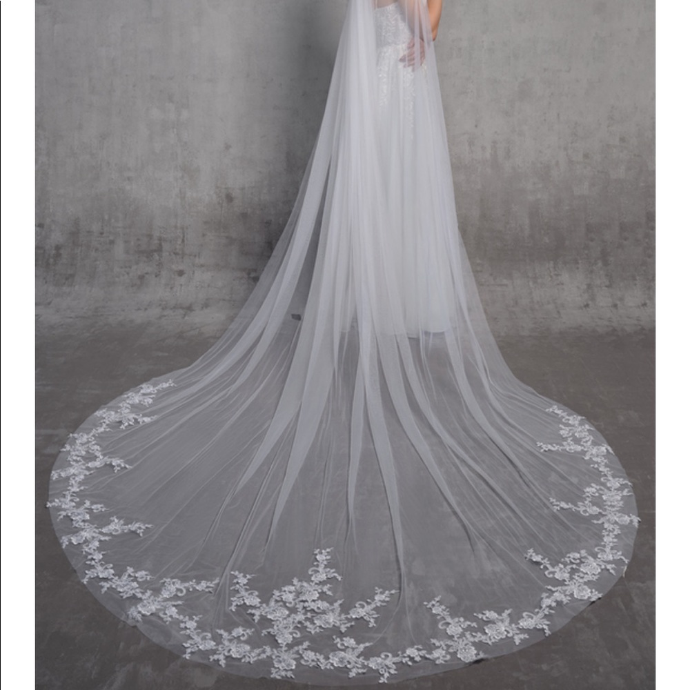 NEW Cathedral Veil